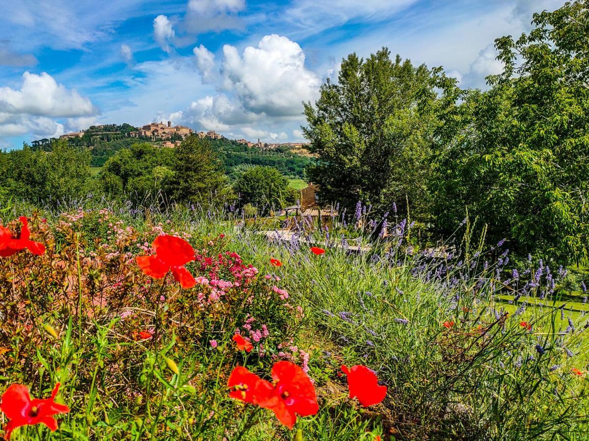 Fonte Martino Guest House & Estate Montepulciano Stazione 외부 사진